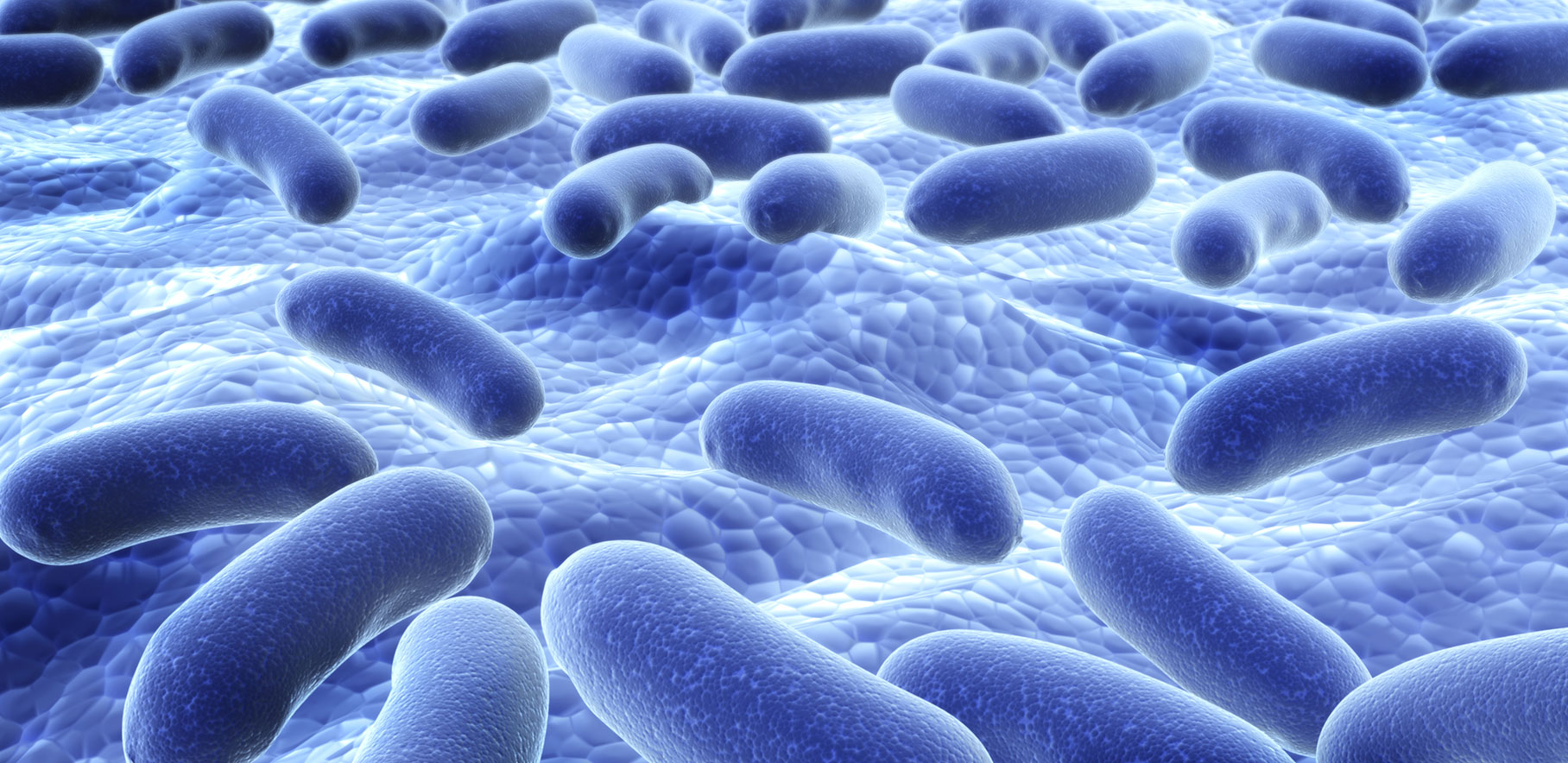 Probiotics and its Benefits probiotics