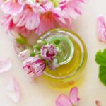 Geranium Oil: Your New Favorite Essential Oil geranium oil