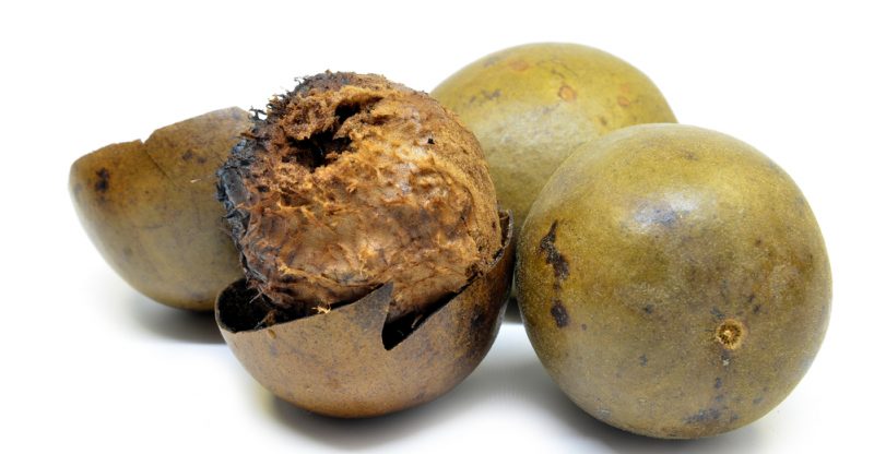 13 Benefits of Monk Fruit 13 Benefits of Monk Fruit