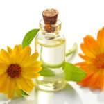 19 Benefits of Sunflower Oil Benefits of Sunflower Oil