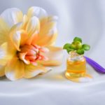 Wintergreen Essential Oil: Benefits and Side Effects wintergreen essential oil