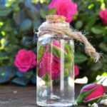 Here’s Exactly Why Rose Water is Amazing for Your Skin rose water