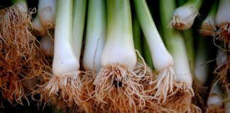 20 Health Benefits of Leeks 20 Health Benefits of Leeks