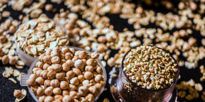 sorghum A picture of sorghum