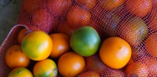 Lulo: Benefits and Side Effects Lulo: Benefits and Side Effects