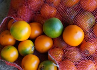 Lulo: Benefits and Side Effects Lulo: Benefits and Side Effects