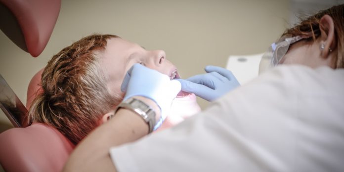 dentist The picture of a dentist