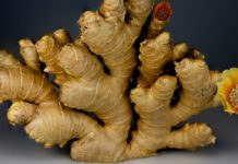 Ginger Supplement: Side Effect and Uses ginger