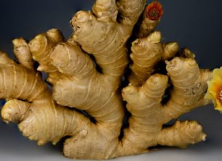 Ginger Supplement: Side Effect and Uses ginger
