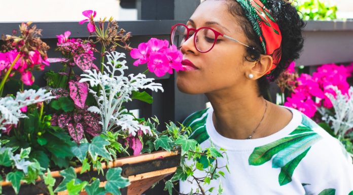 Dealing with Anosmia smelling flowers