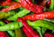 Cayenne Pepper: Don’t Conclude On This Yet! pepper