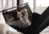 Things You Never Knew About Deja Vu resting