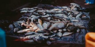 16 Benefits of Omega 3 Fatty Acids A bow of stockfish