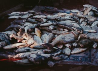 16 Benefits of Omega 3 Fatty Acids A bow of stockfish