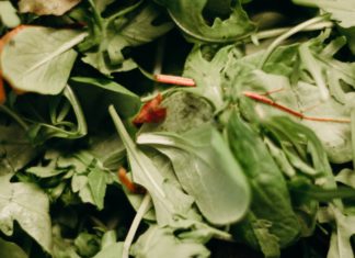 Health Benefits of Waterleaf Waterleaf