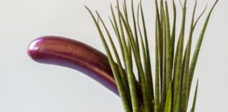 What you Should Know About Penis Health penis