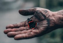 Burns: First Aid, Home Remedy, Clearing Scars hands with smoke