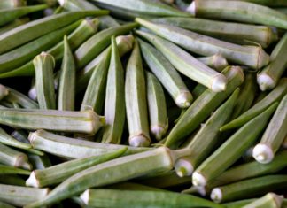 Health Benefits of Okra Lady's finger