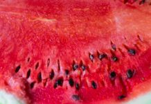 Cantaloupe Is Not Just Melon watermelon seed