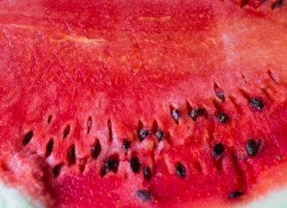 Stay Healthier with Watermelon Seeds watermelon seed