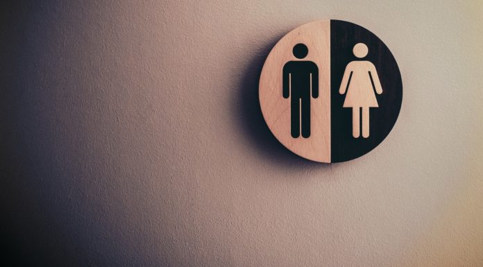 Understanding Sex and Gender Identity gender