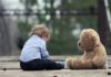 Dealing with Reactive Attachment Disorder teddy bear