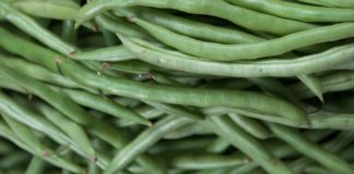 Eat 1kg of Green Beans And Hack Into Life vegetabe