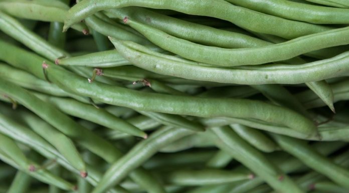 Eat 1kg of Green Beans And Hack Into Life vegetabe