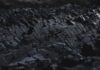 Charcoal on Your Hair and Skin! activated charcoal