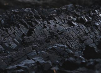 Charcoal on Your Hair and Skin! activated charcoal