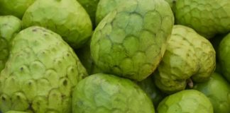 How Healthy is Cherimoya? custard apple