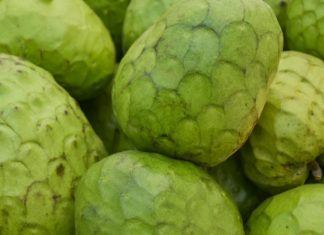 How Healthy is Cherimoya? custard apple