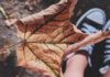 Health Risks of Dry Air fallen dry leaf