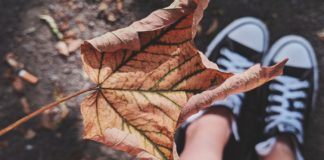 Health Risks of Dry Air fallen dry leaf