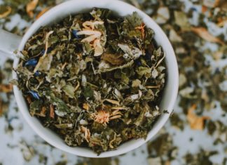 13 Amazing Antiviral Herbs herbs