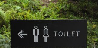Here`s Why your Poop Color Is Different toilet