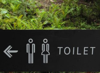 Here`s Why your Poop Color Is Different toilet