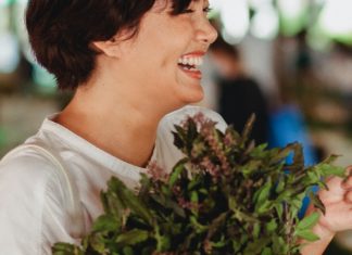 The Myths of Bay Leaf bay leaf