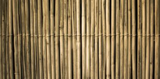 Bamboo Are Not Only Good for Fabrication bamboo