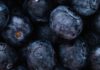 Incredible Health Benefits of Black Plum plum