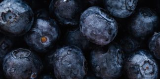 Incredible Health Benefits of Black Plum plum