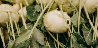 Health Hacks About Prairie Turnip You Should Know Health Hacks bout Turnip