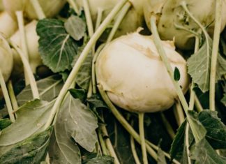 Health Hacks About Prairie Turnip You Should Know Health Hacks bout Turnip