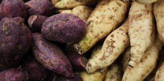 Take Some Mashua and Glow in Health Herb