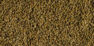 What Do You Know About Fenugreek? fenugreek seed