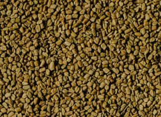 What Do You Know About Fenugreek? fenugreek seed