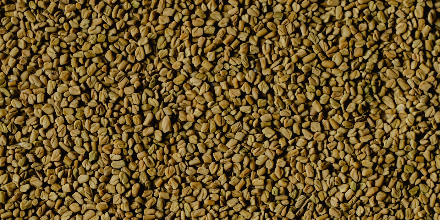 fenugreek seed