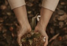 Health Benefits of Taro Roots You Never Had Heard About root