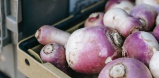 Importance of Turnip on Your Health Fresh Turnip