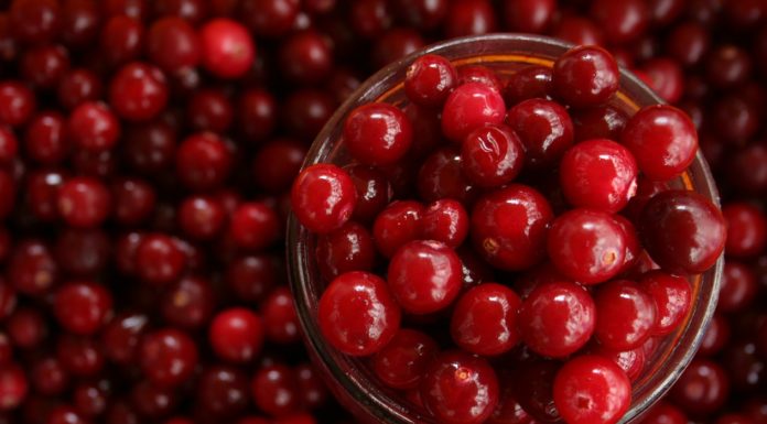 10 Natural Junk Substitutes cranberry